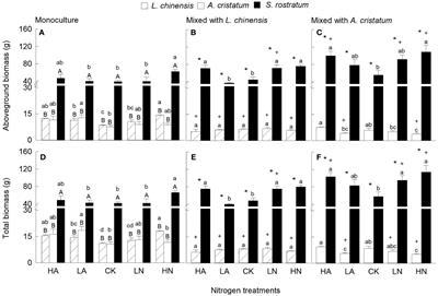 Advantages of growth and competitive ability of the invasive plant Solanum rostratum over two co-occurring natives and the effects of nitrogen levels and forms